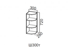 Ш300т/720 Шкаф навесной 300/720 (торцевой) в Перми - perm.magazin-mebel74.ru | фото