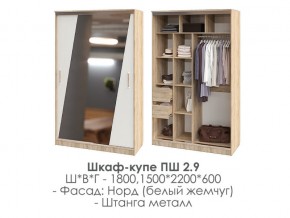 шкаф-купе ПШ-2.9 1500 Норд Белый жемчуг 1500 в Перми - perm.magazin-mebel74.ru | фото