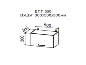 Шкаф верхний ДПГ500 горизонтальный в Перми - perm.magazin-mebel74.ru | фото
