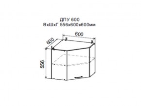 Шкаф верхний ДПУ600 угловой в Перми - perm.magazin-mebel74.ru | фото